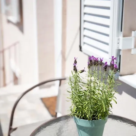 Apartment Athina's House *